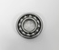 Bearing - Main