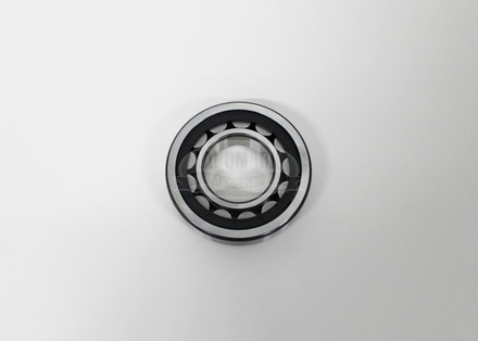 Bearing, Main - Rear 14"