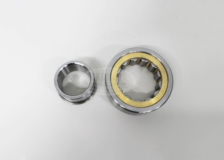 Main Bearing - Outer, SP318